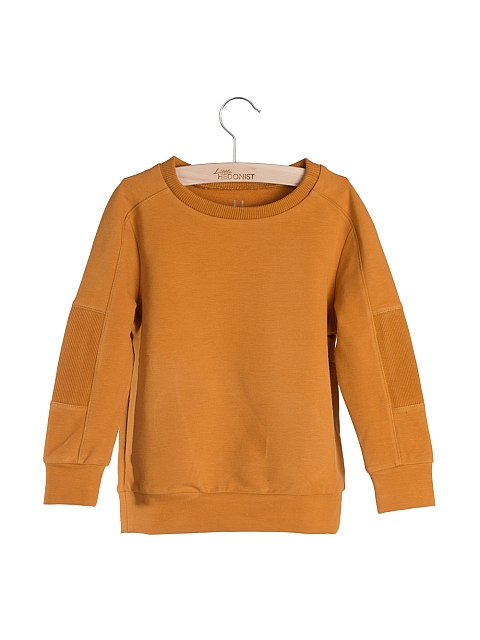 Little Hedonist Collegepaita Grady Pumpkin spice